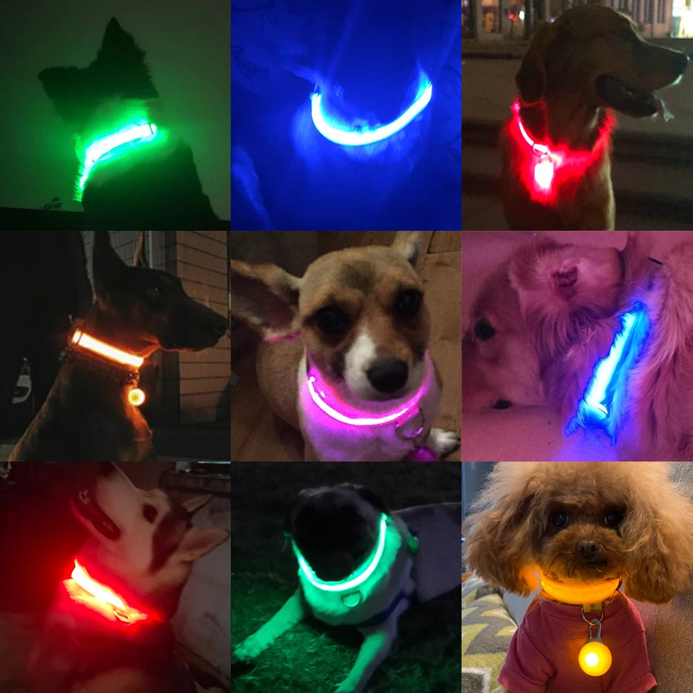 Nightshine Companion: Versatile Glow Collar with USB & Battery Options for Dog Safety