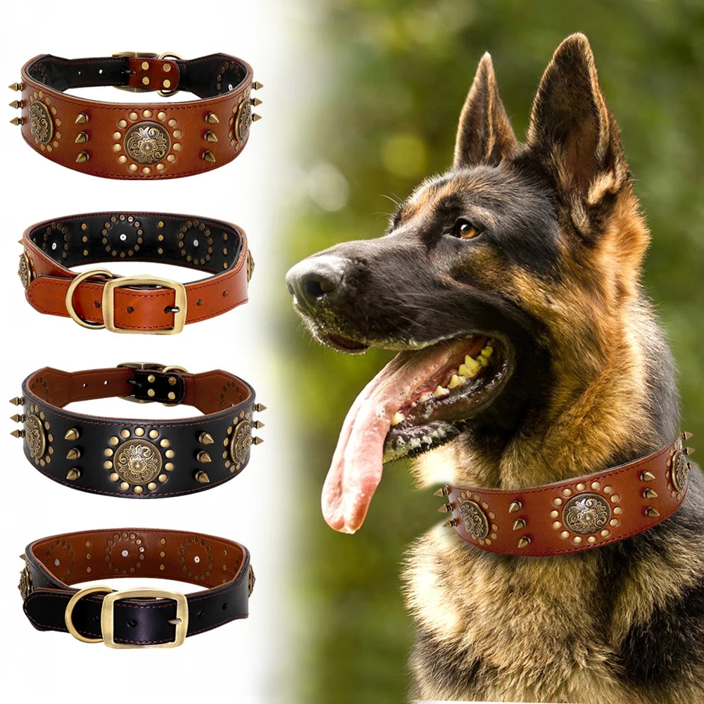 Royal Canine Craft: Luxurious Leather Collar for Medium to Large Breeds