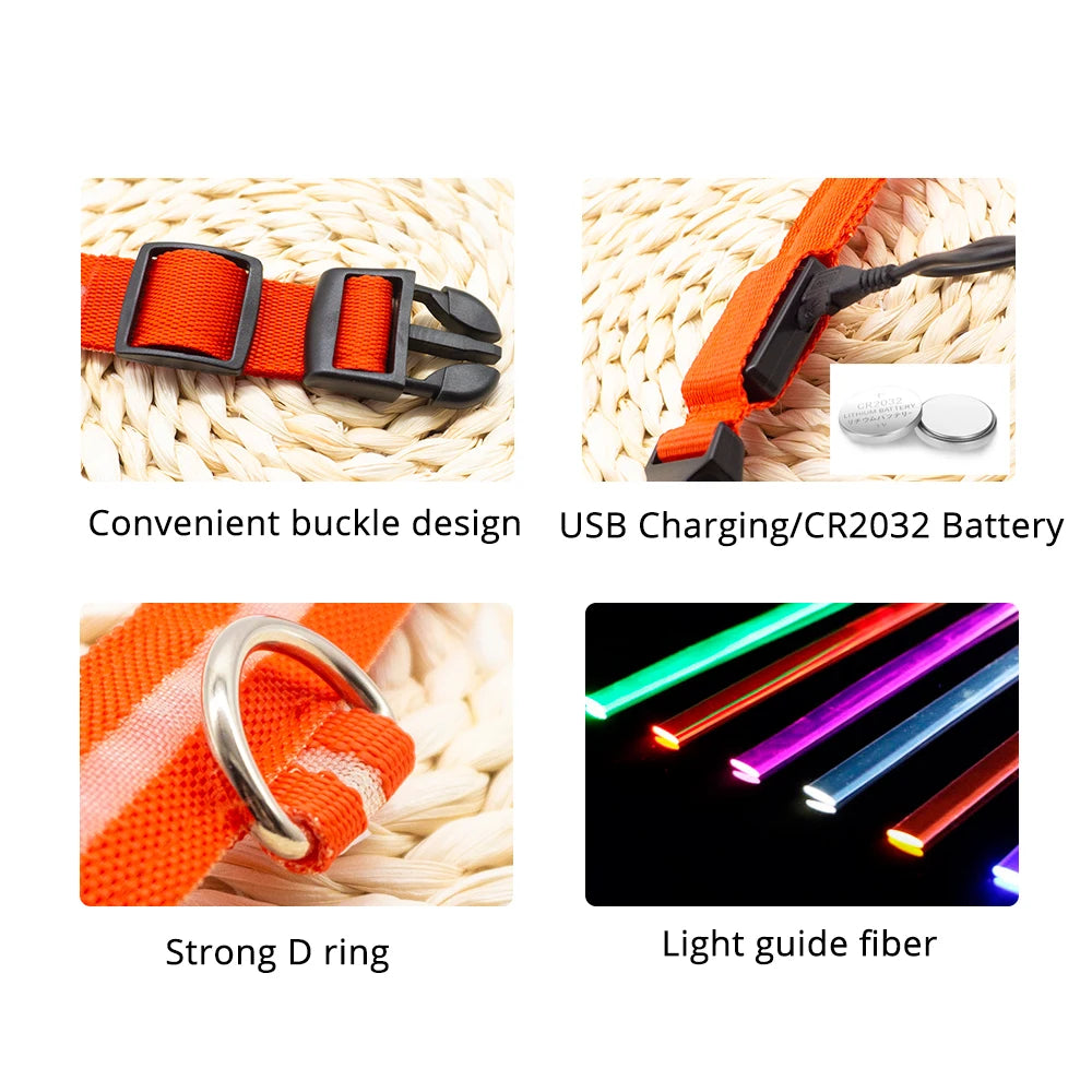 Nightshine Companion: Versatile Glow Collar with USB & Battery Options for Dog Safety