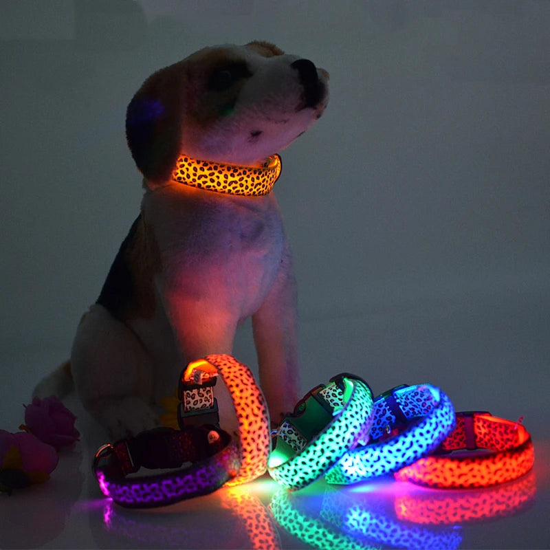 Nightglow Pawsome: Reflective LED Safety Collars for Trendy Pets