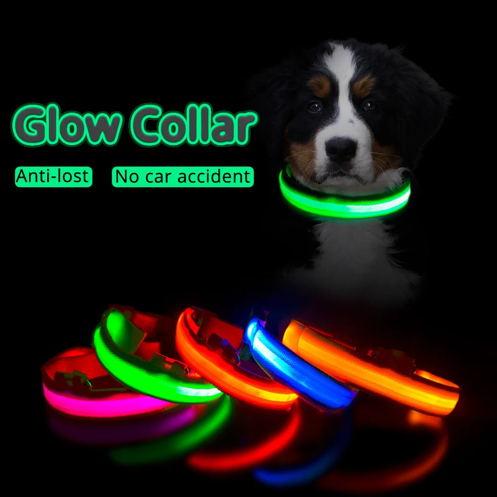 Nightshine Companion: Versatile Glow Collar with USB & Battery Options for Dog Safety