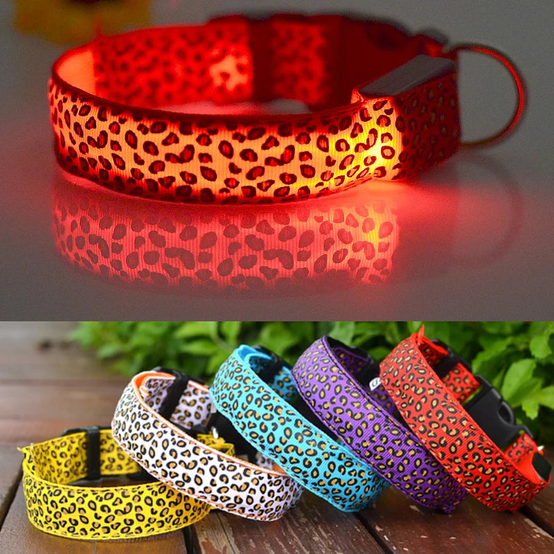 Nightglow Pawsome: Reflective LED Safety Collars for Trendy Pets