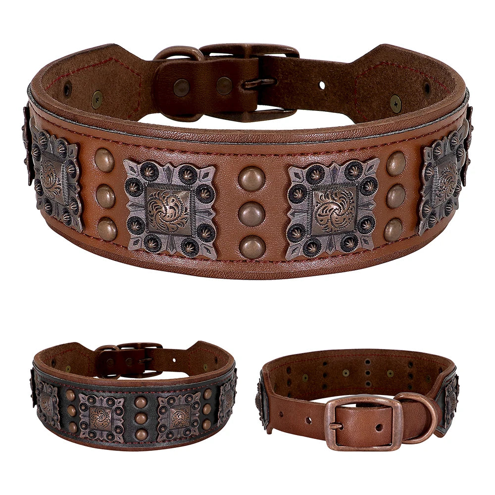 Regal Rover: Premium Wide Leather Collars