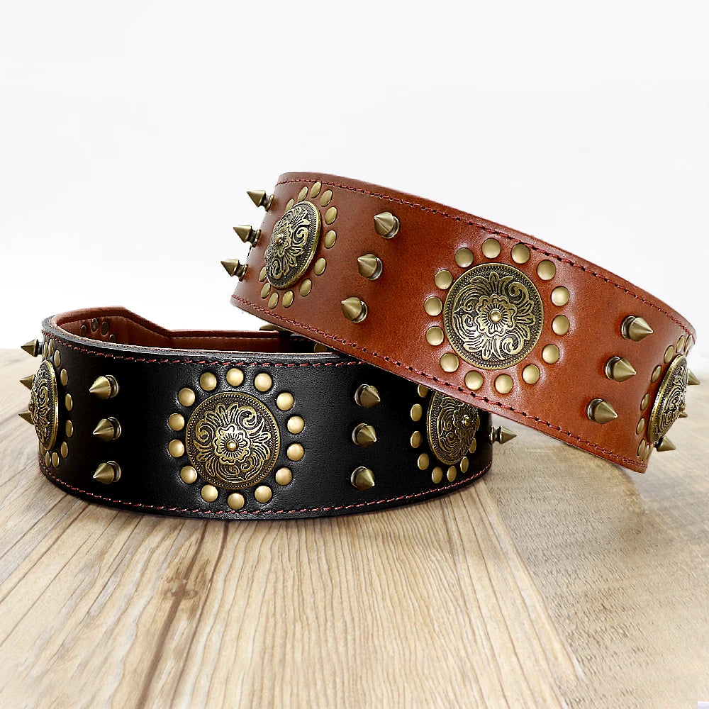 Royal Canine Craft: Luxurious Leather Collar for Medium to Large Breeds