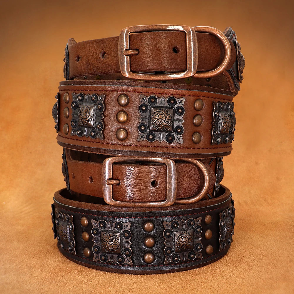 Regal Rover: Premium Wide Leather Collars