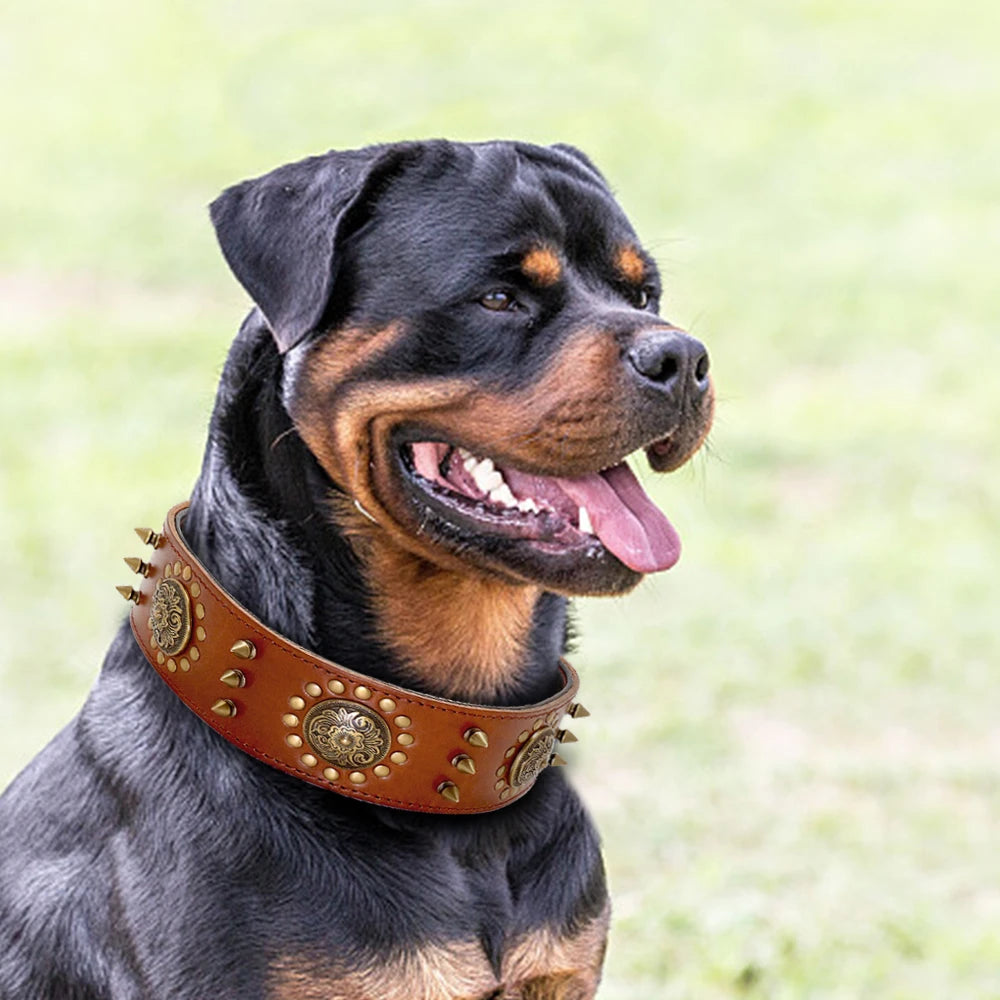 Royal Canine Craft: Luxurious Leather Collar for Medium to Large Breeds