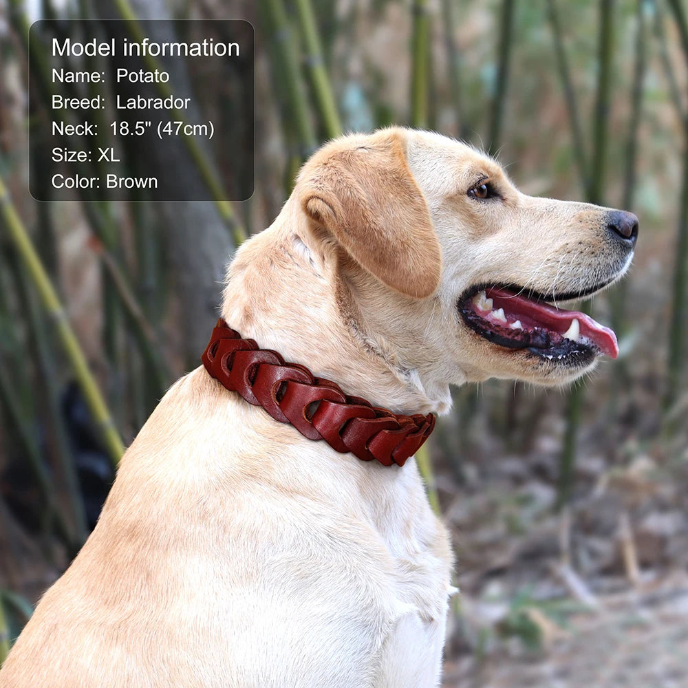 Classic Elegance: Braided Leather Collar for Medium and Large Dogs